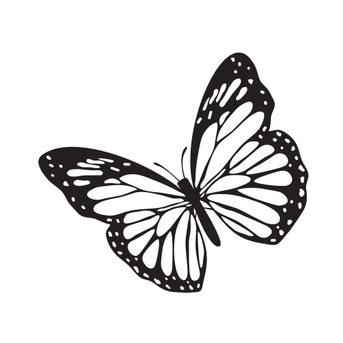 Butterfly/Fairies/Birds