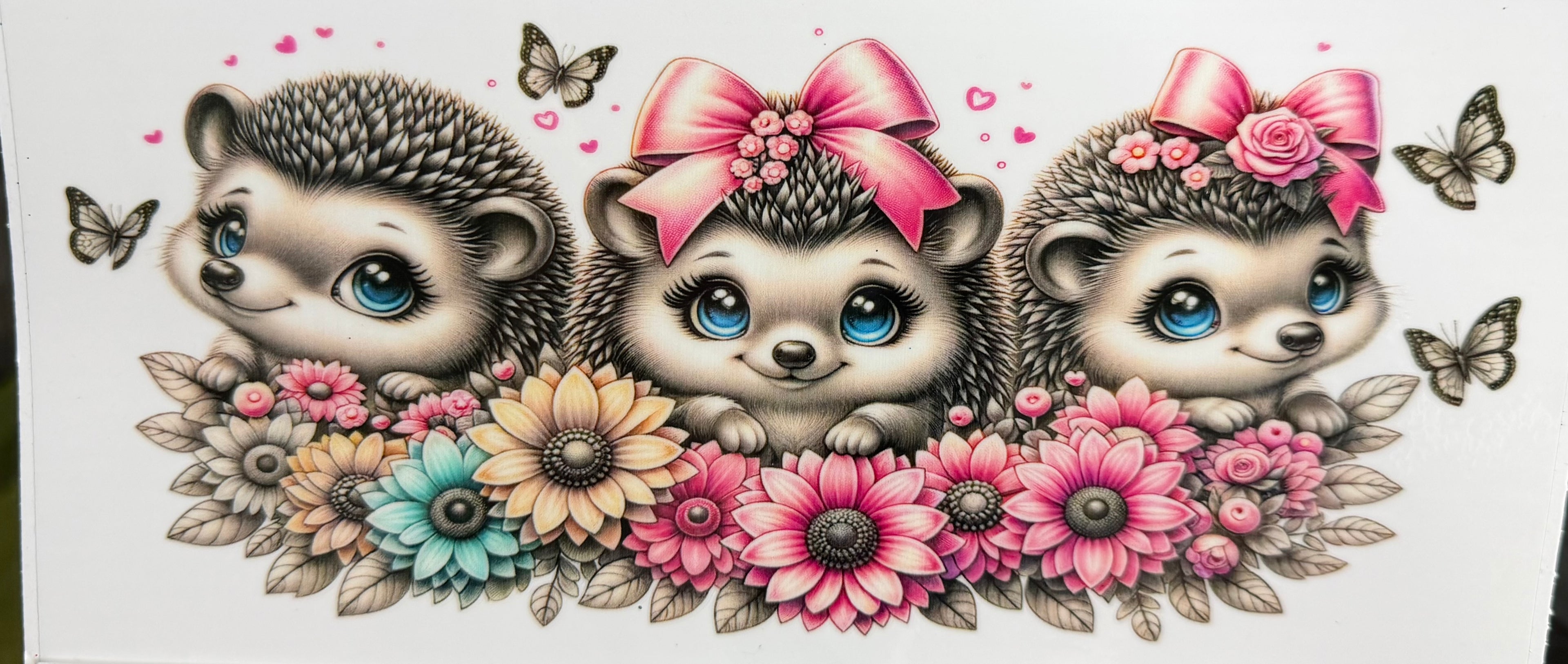 Porcupine cuties