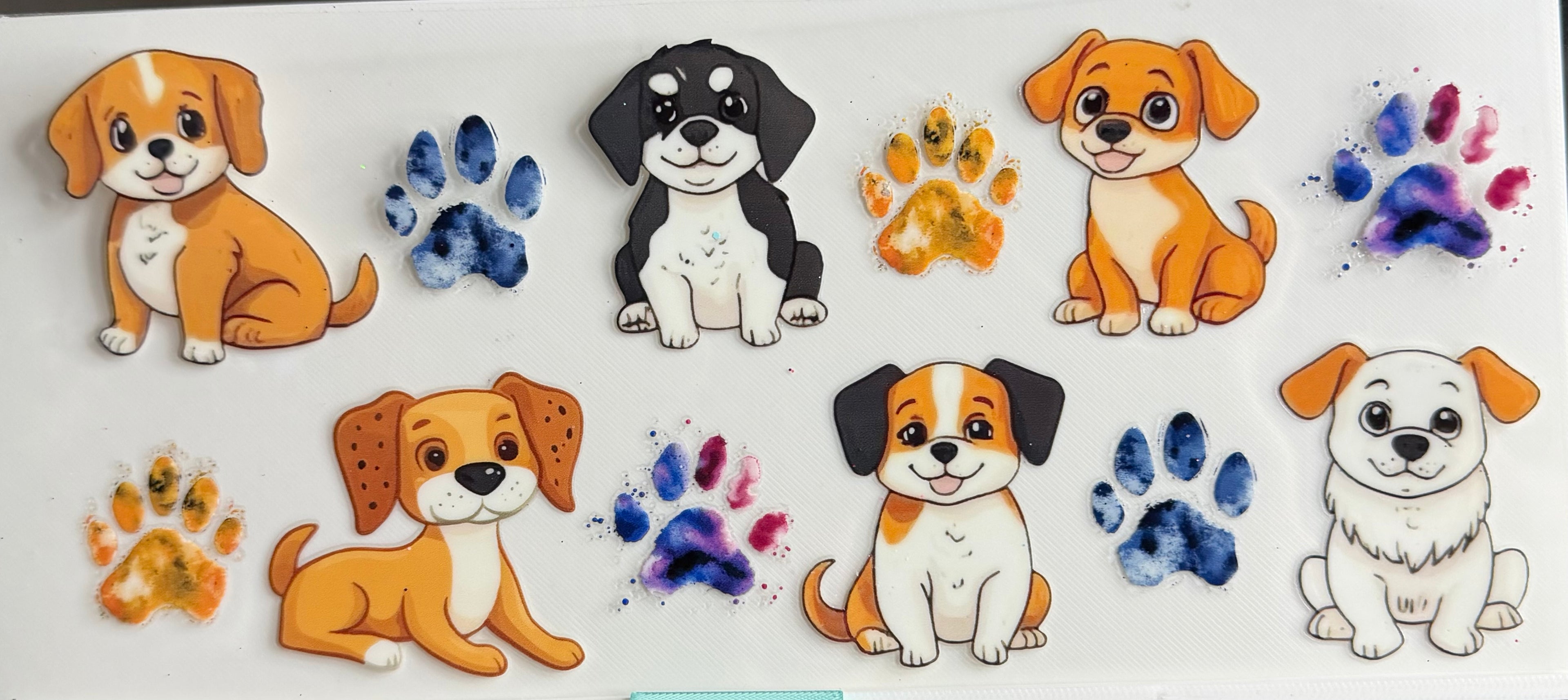 Dog and paws