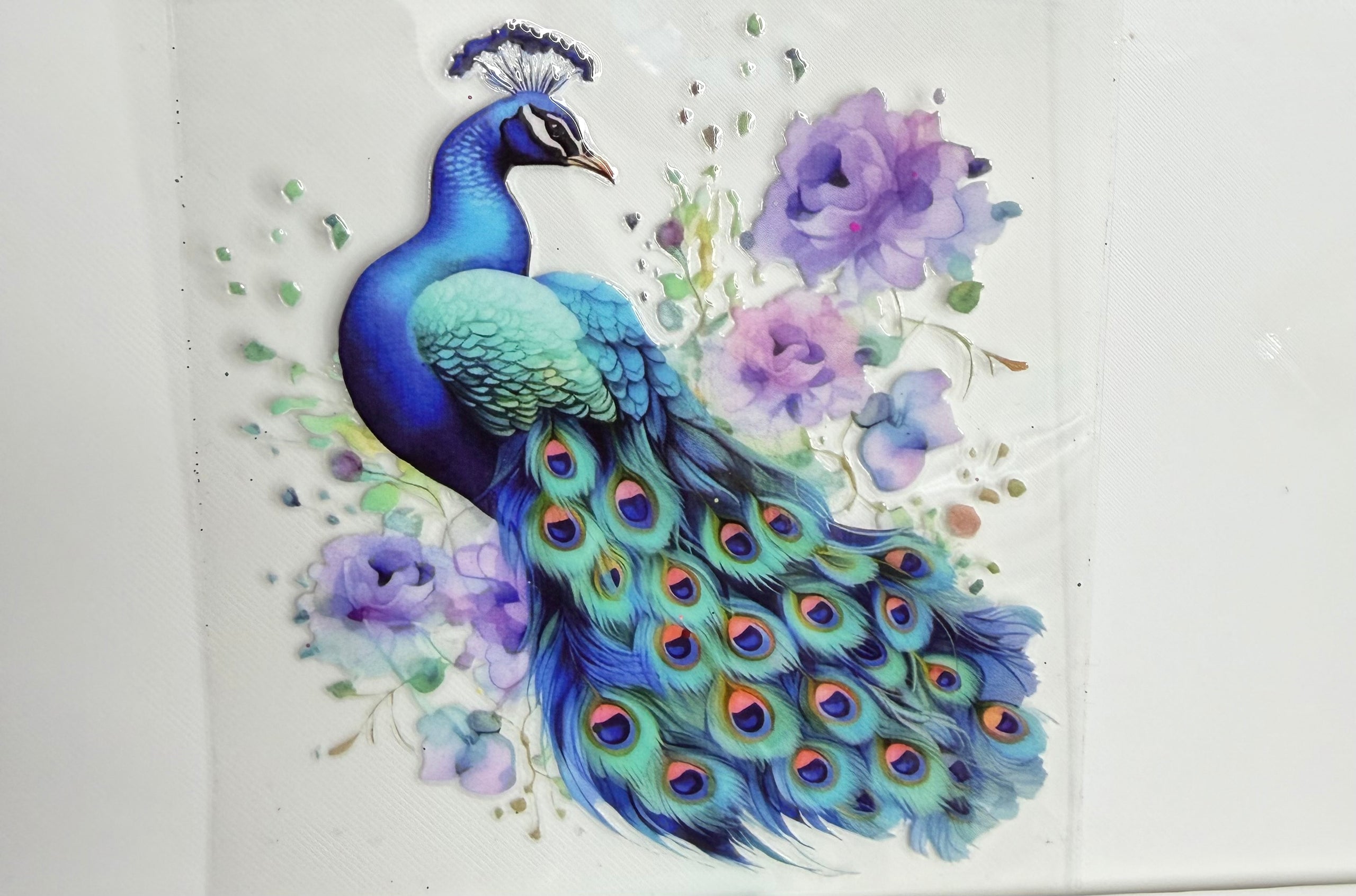 Peacock