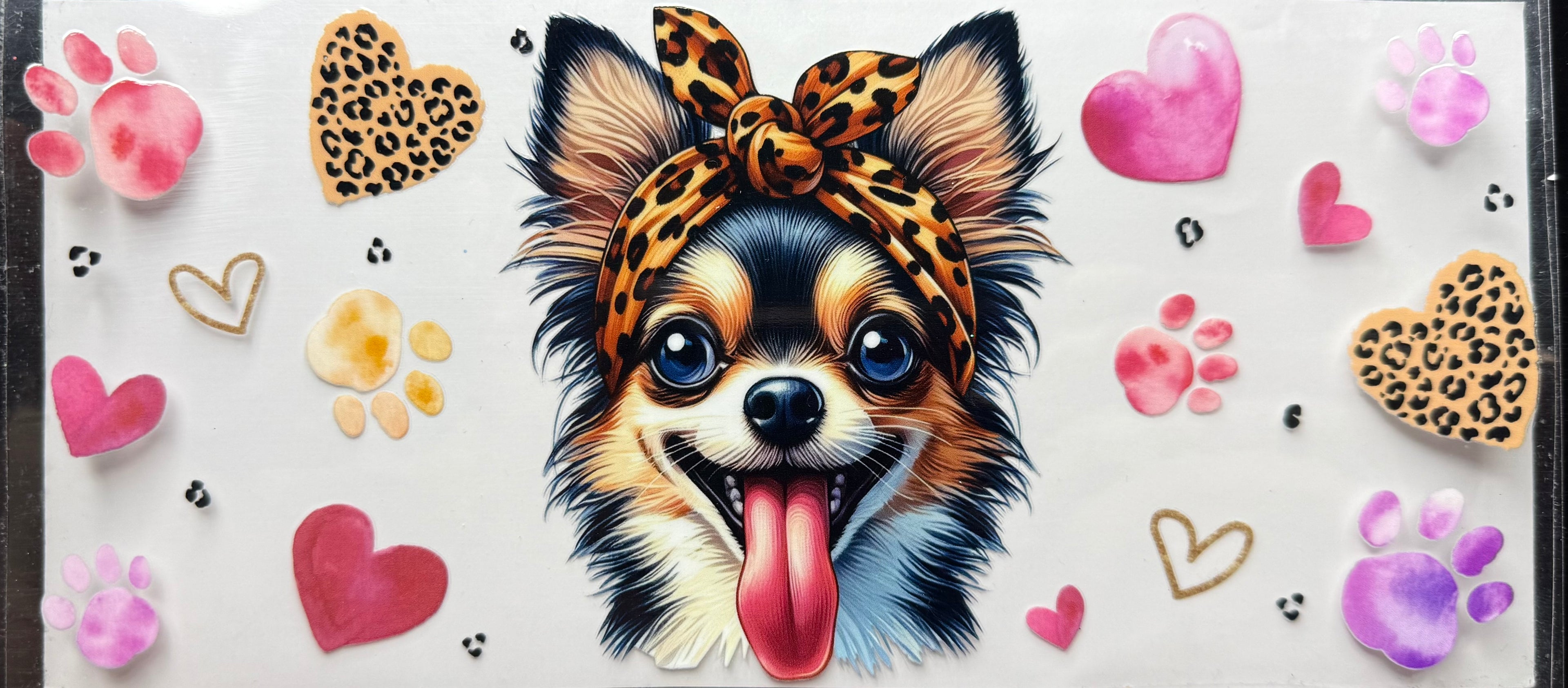 Chihuahua
