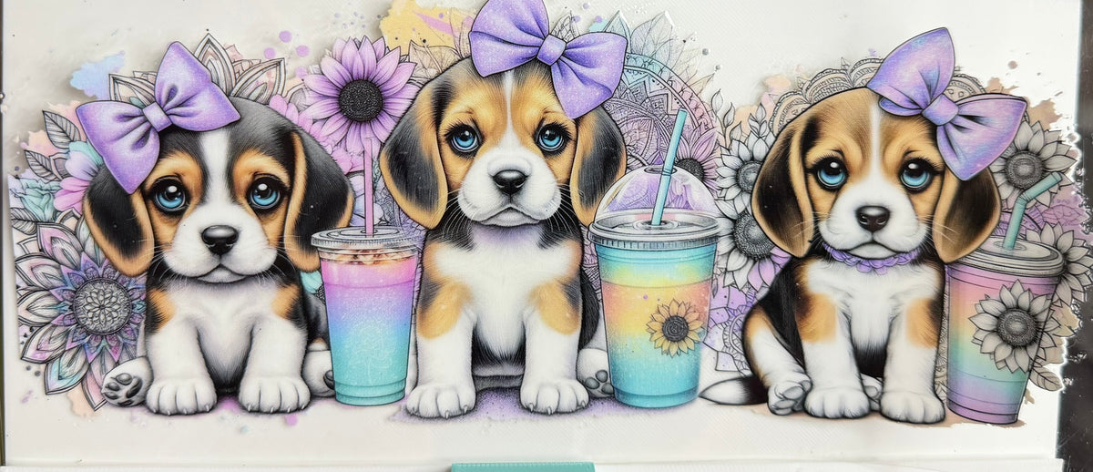 Beagles