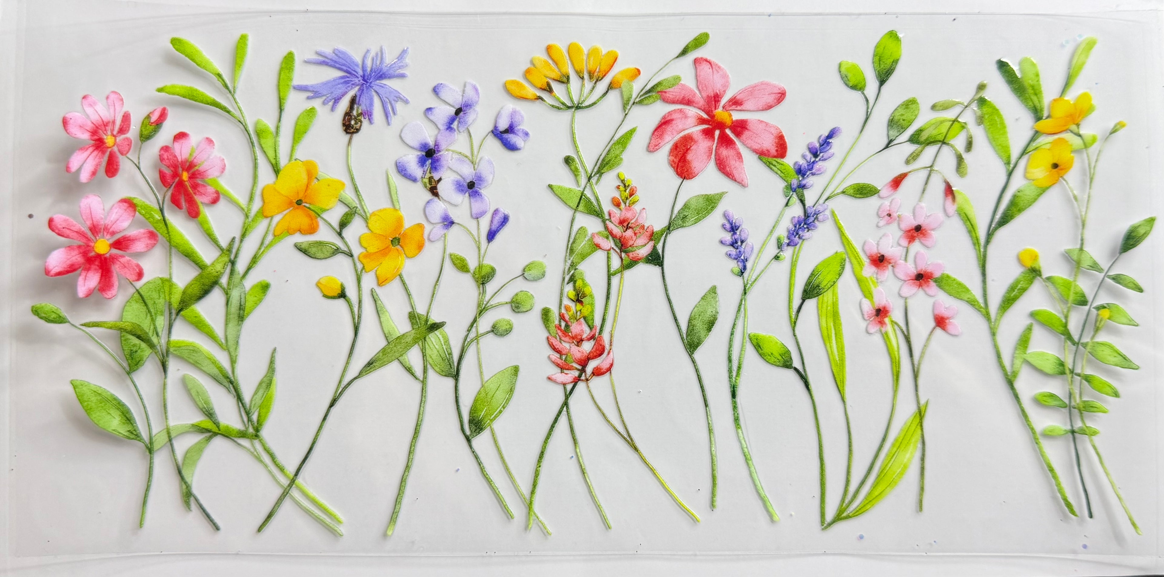 Dainty flowers