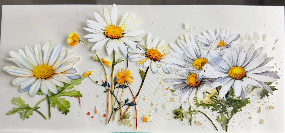 Daisies