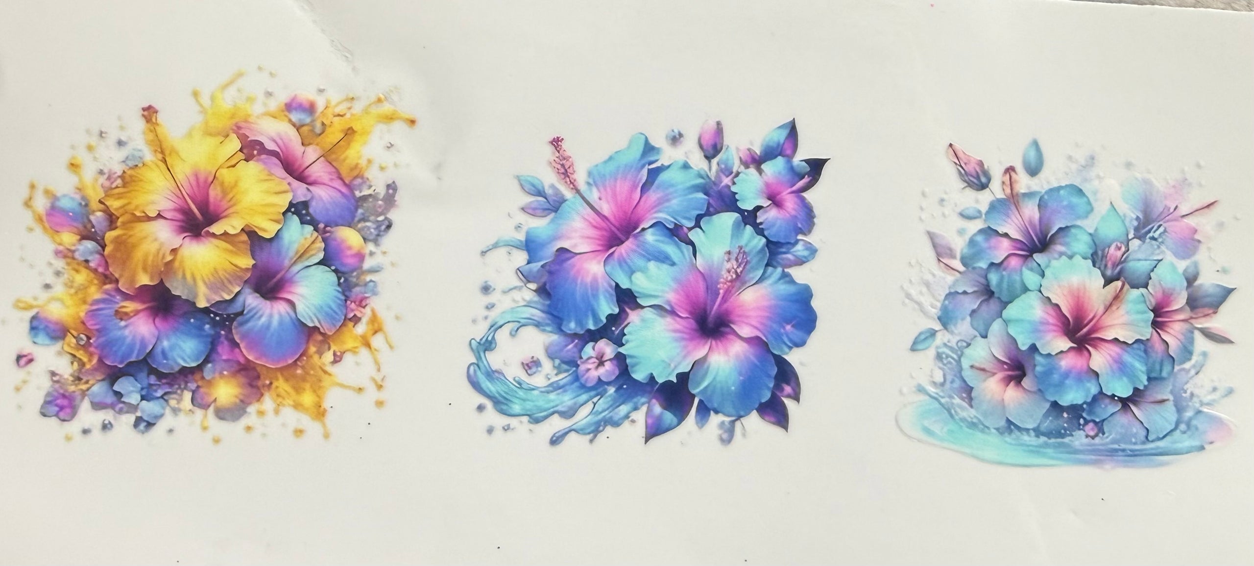 Hibiscus 2