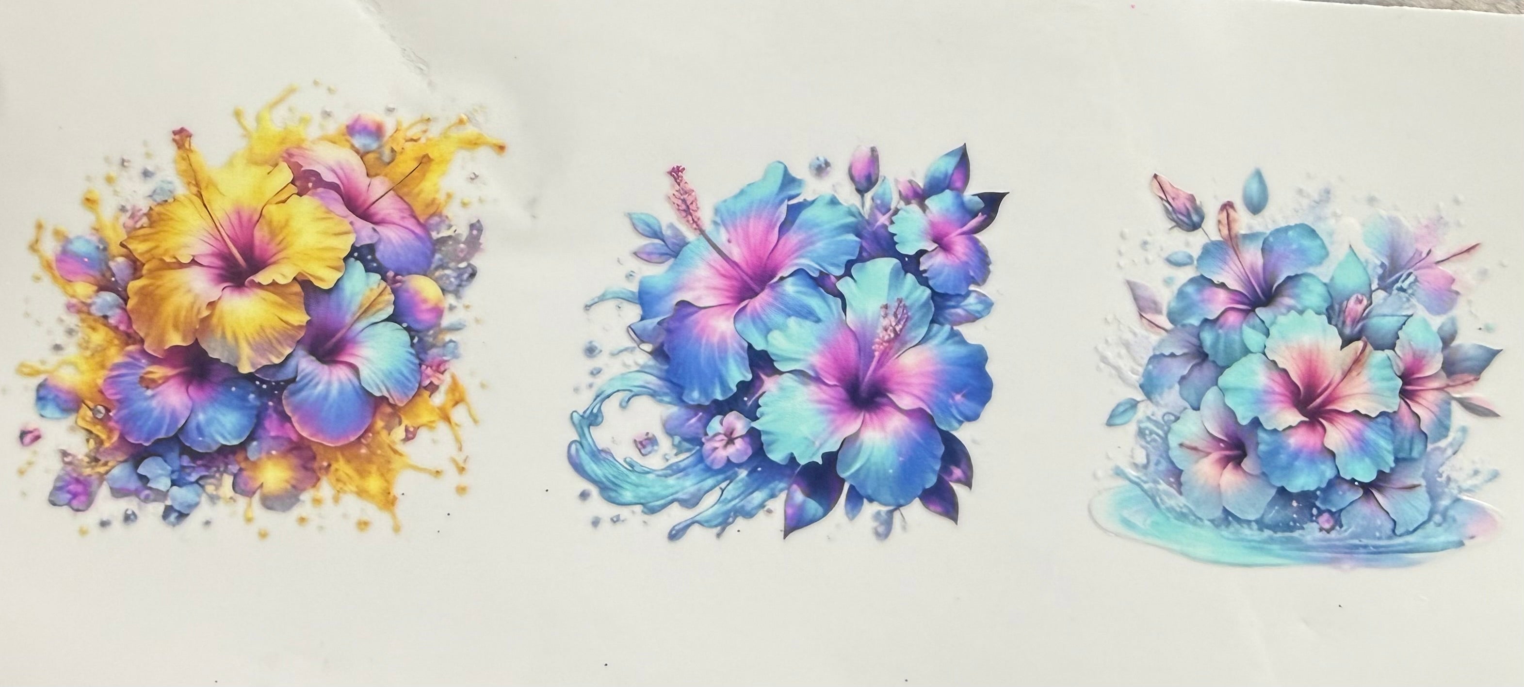 Hibiscus 2