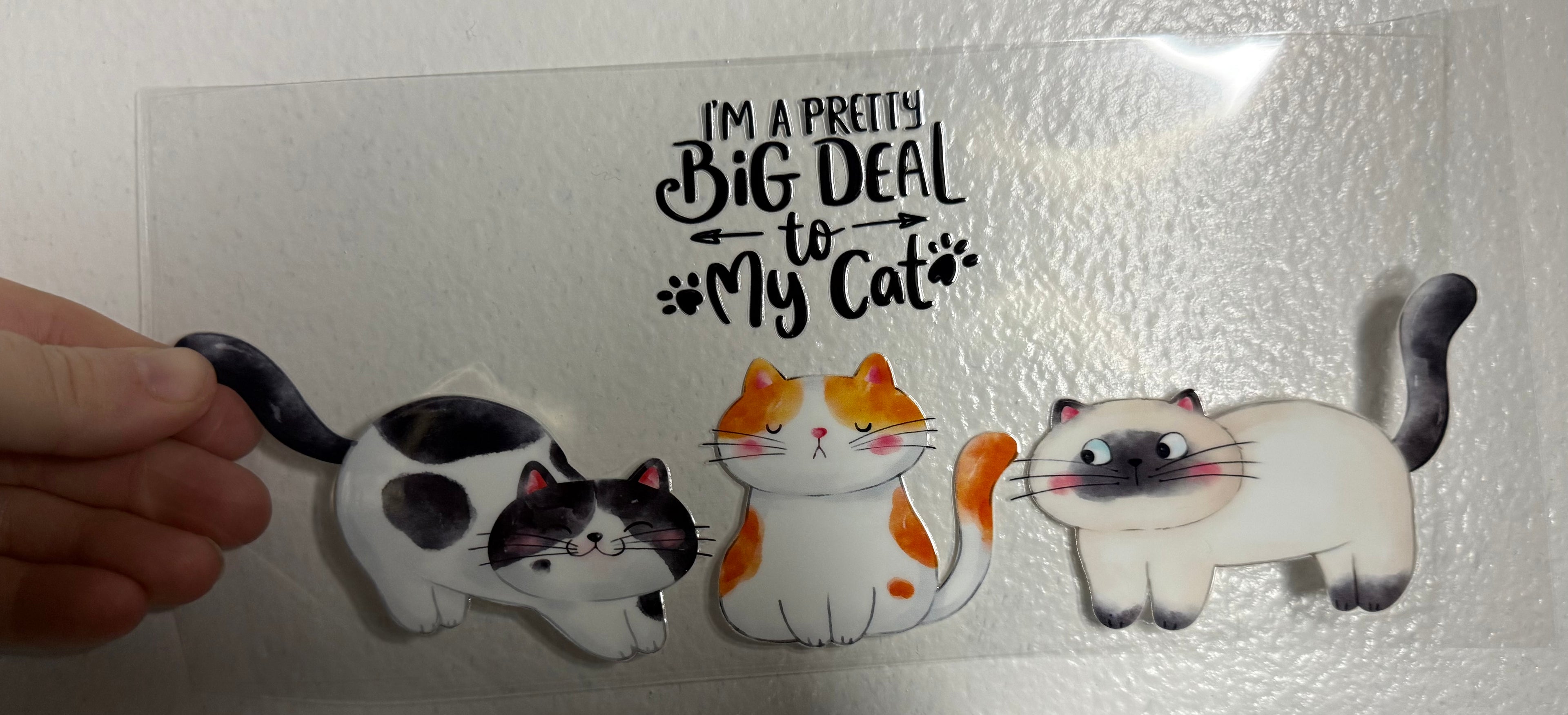 I’m a pretty big deal to my cat