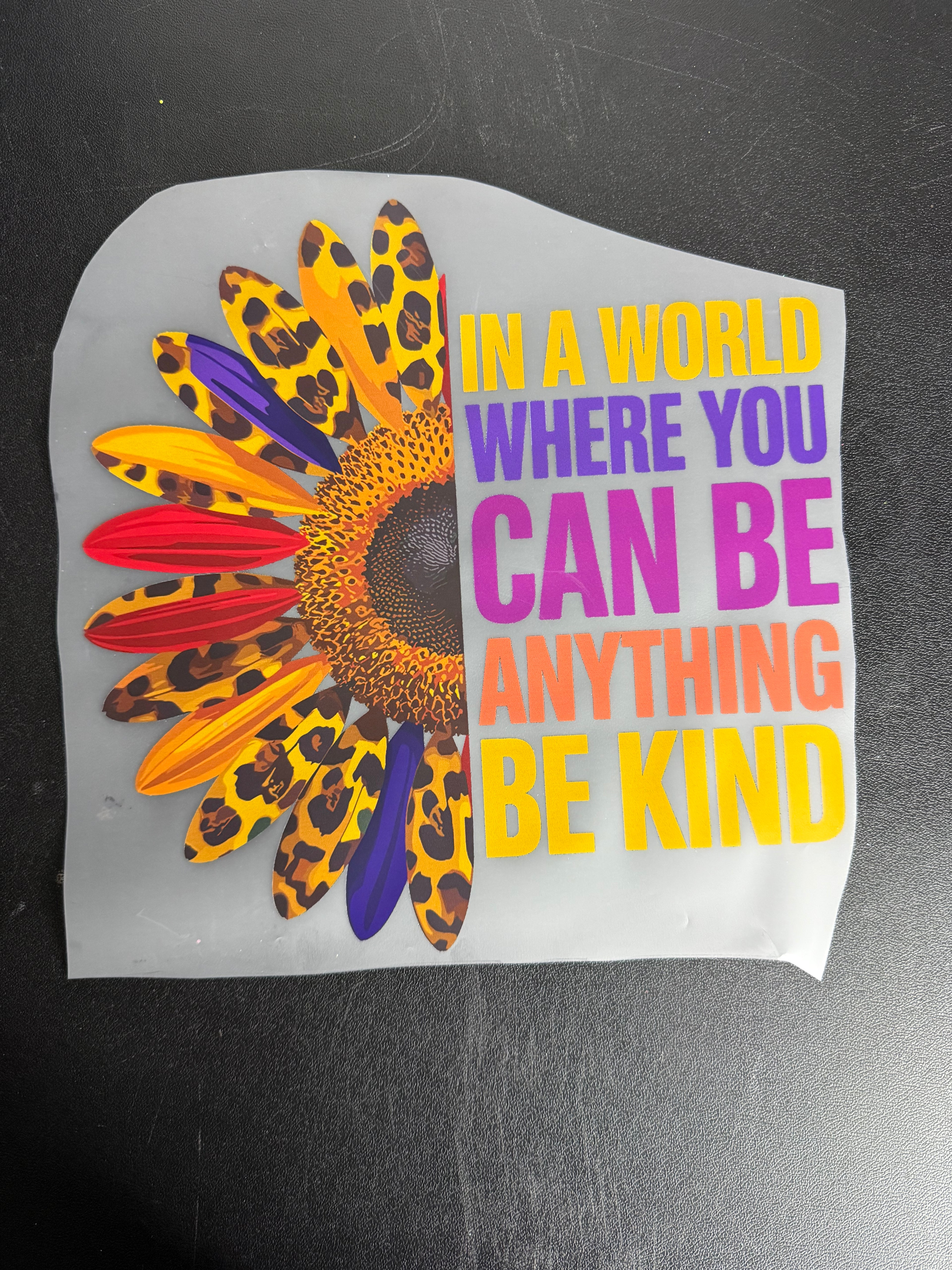 In a world where you can be anything be kind