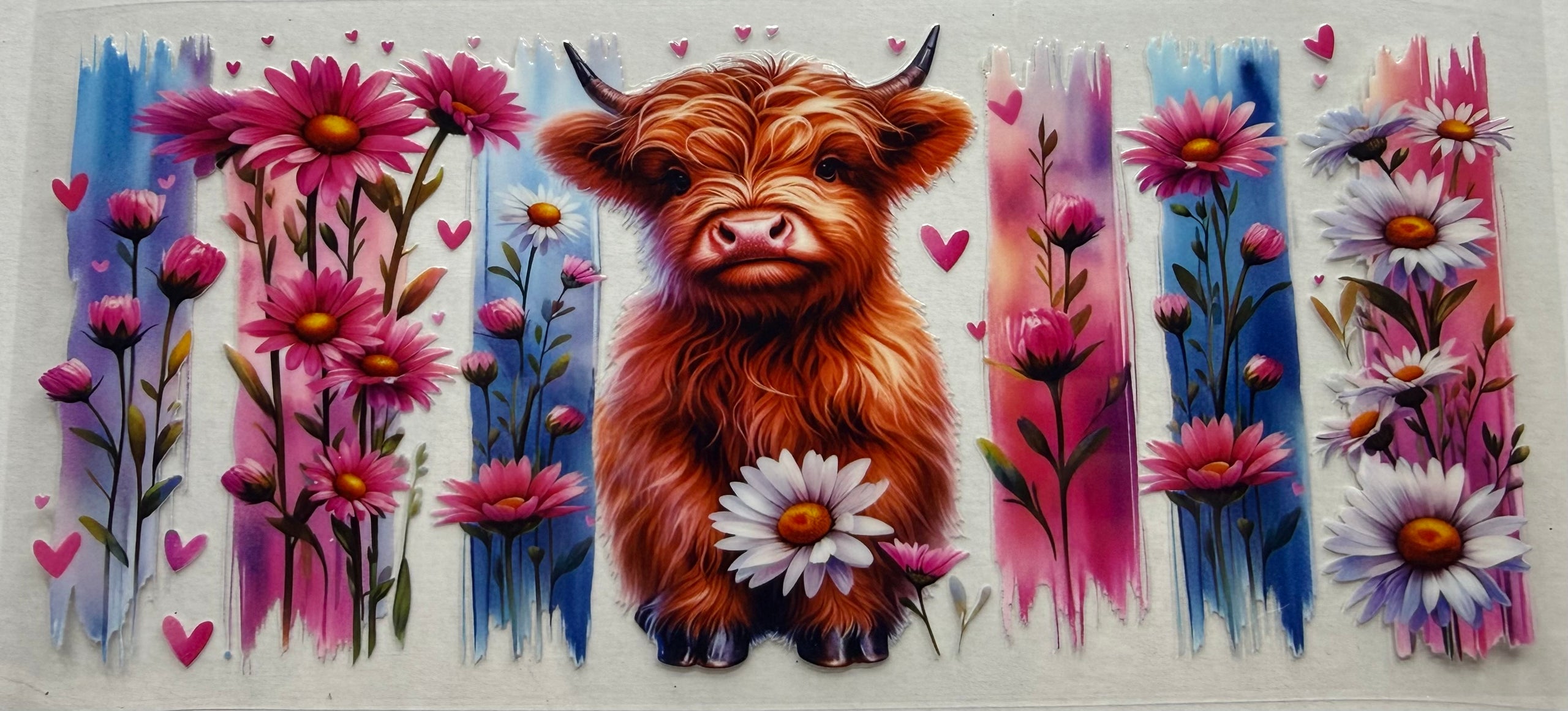Highland cow