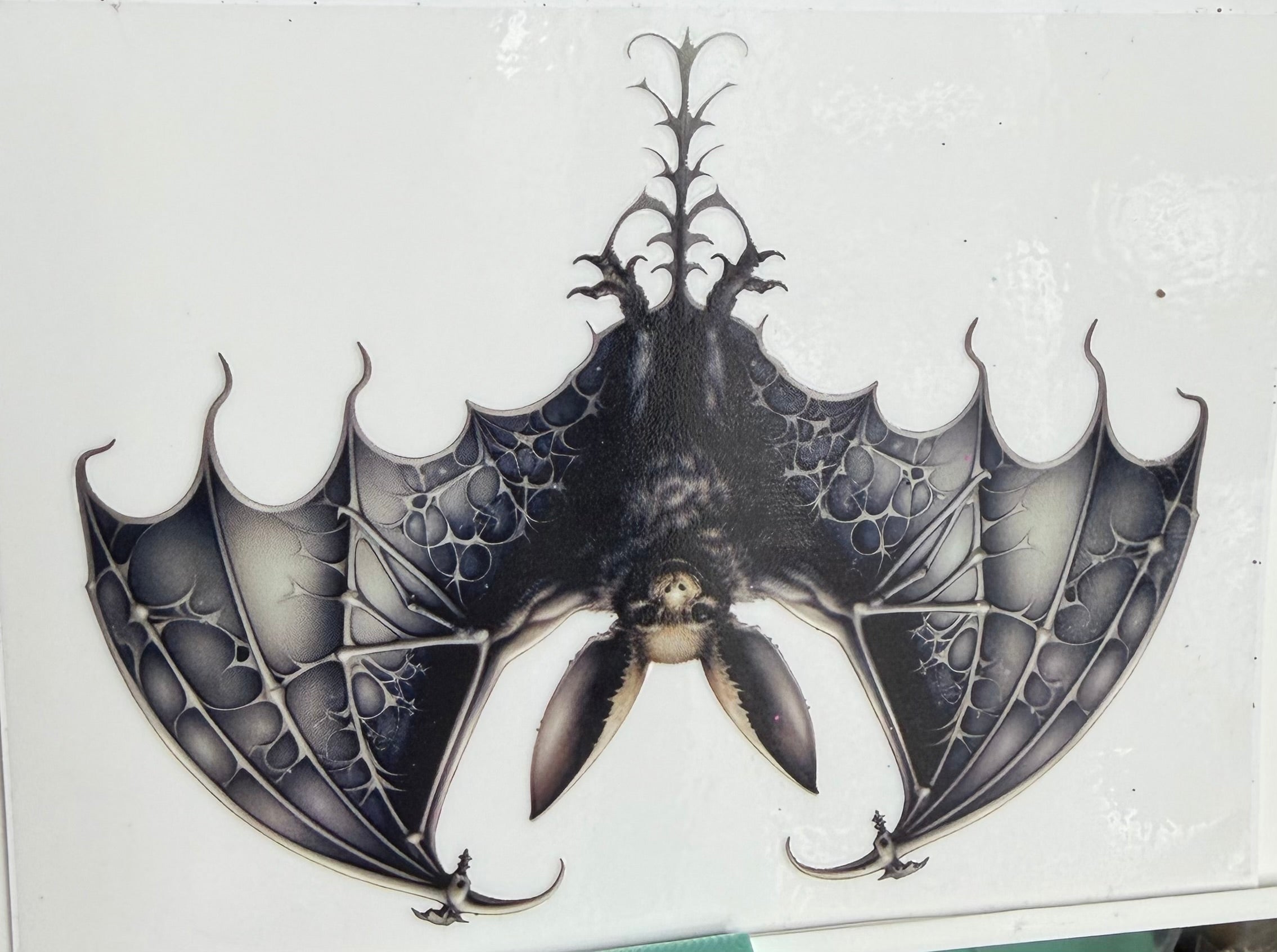 Bat