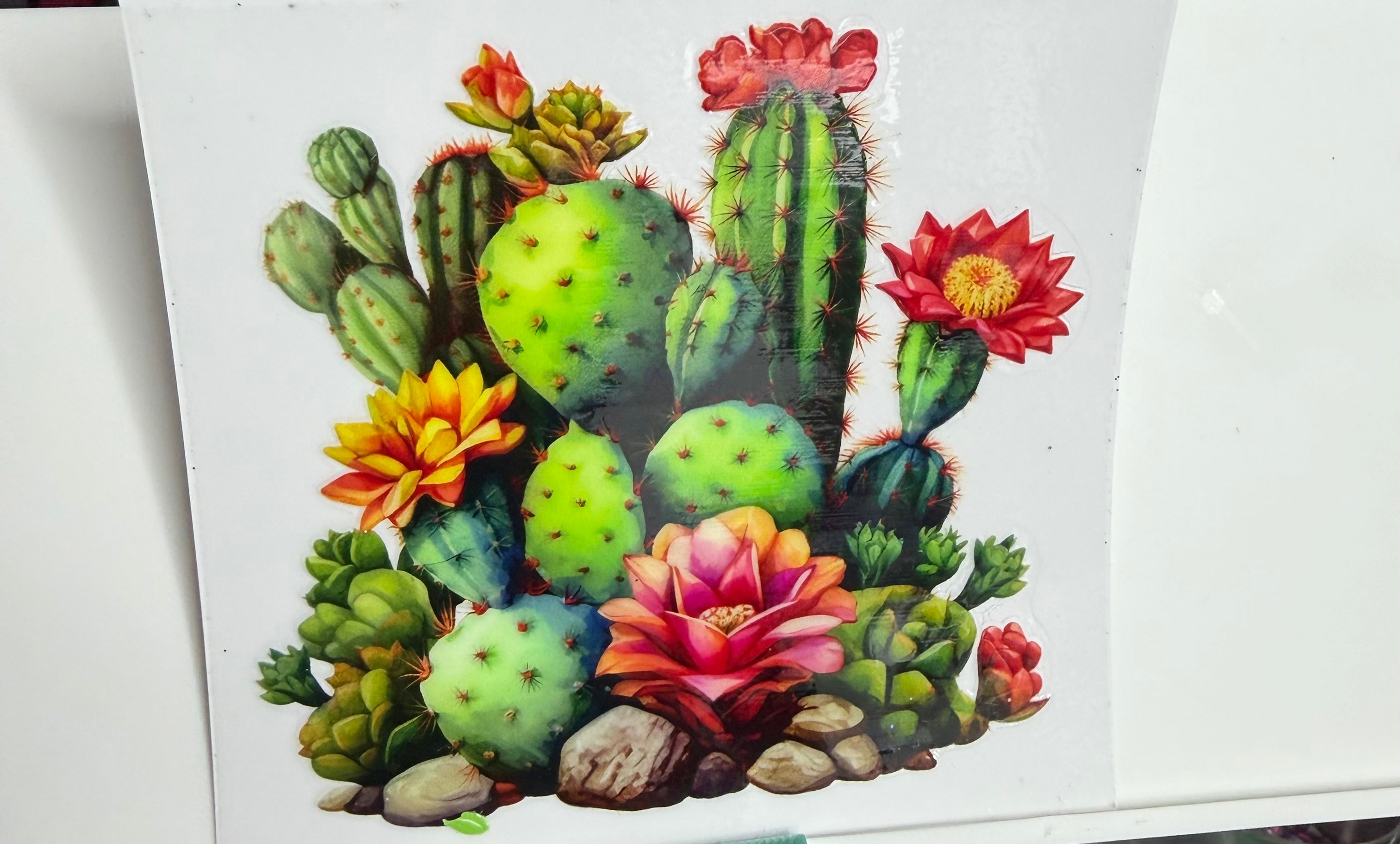 Cactus