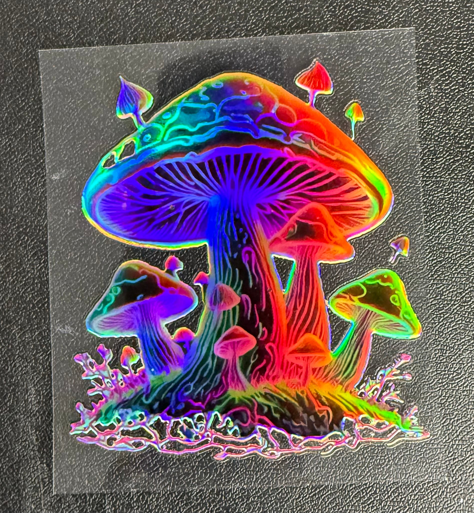 Holographic Mushie