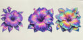 Hibiscus 4