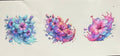 Hibiscus’s