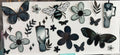 Moths bees and flowers