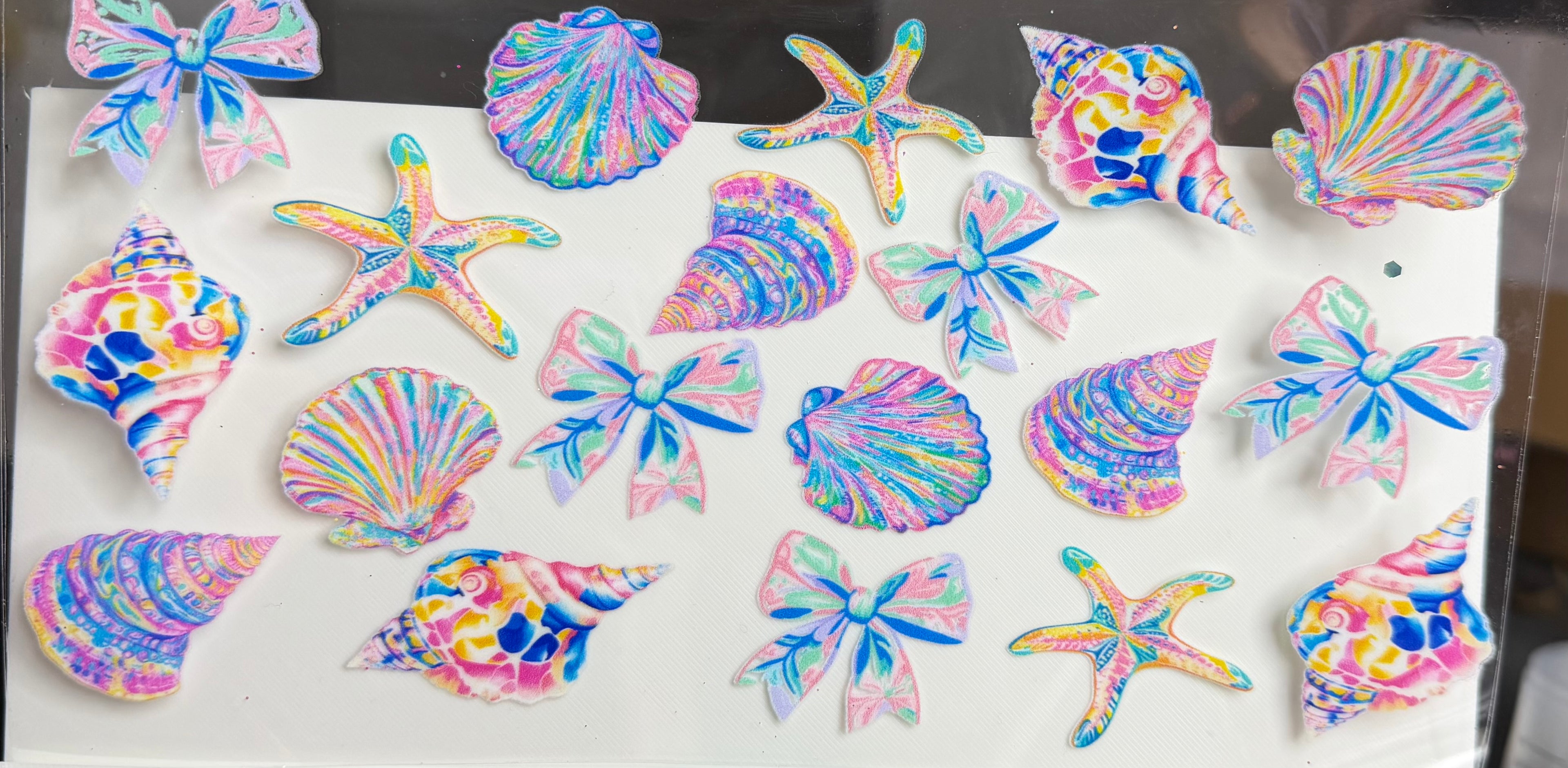 Sea shells and bows
