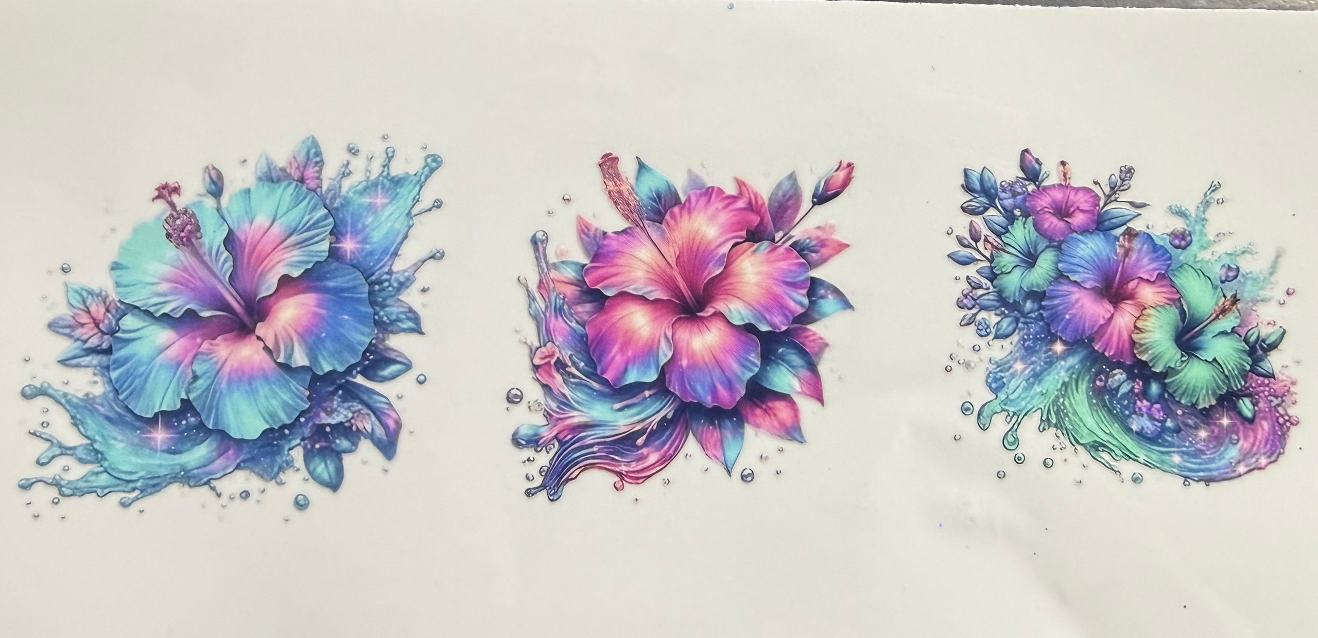 Hibiscus